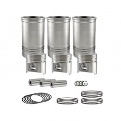 SL3100ABT Cylinder Rebuild Kit