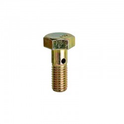 Lubrication hose bolt