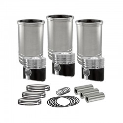 ZN390 Cylinder rebuild kit