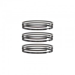 ZN390 Piston Rings Set