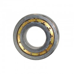 NUP206E Cylindrical Roller...