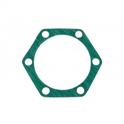 LZ254 Knuckle Case Gasket