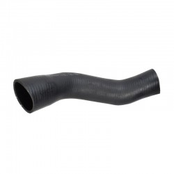 TA Bottom radiator hose