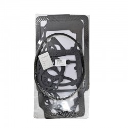 CZ380Q Bottom Gasket Set