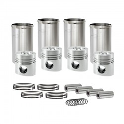 CZ480 Cylinder Rebuild Kit