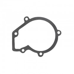 ZH4100 Water Pump Gasket 5...