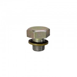 Oiler blanking plug M10