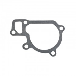 TY290X Water Pump Gasket