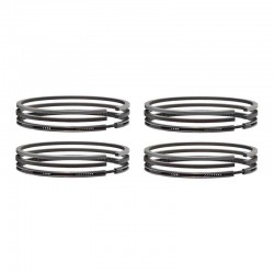 495B Piston Rings Set