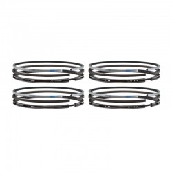 1004C Piston Rings Set