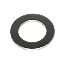 Oil Drain Plug Gasket WG160...
