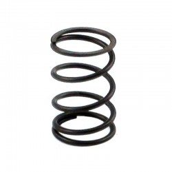 Valve Spring WG160 WG200