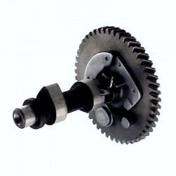 Camshaft WG160 WG200