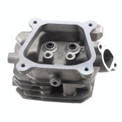 Cylinder Head LJT168F-1 WG160
