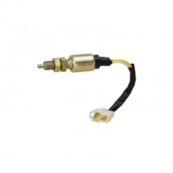 LZ Clutch Switch N-O