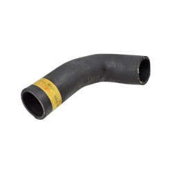 254G2 Upper Radiator Hose