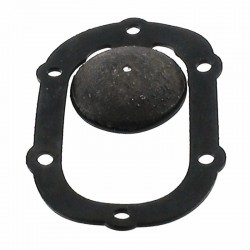 Lifan 40ZB60 Non Return...