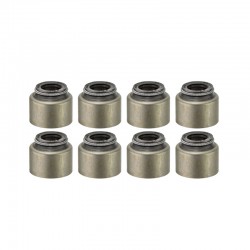 4L22 4L23 Valve Stem Oil...