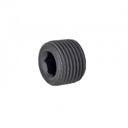 Blanking Plug NPT3/8