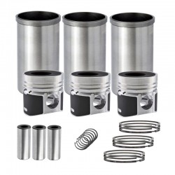 3T30 Cylinder Rebuild Kit