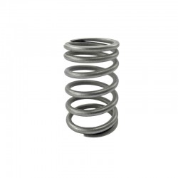 1004C Inner Valve Spring