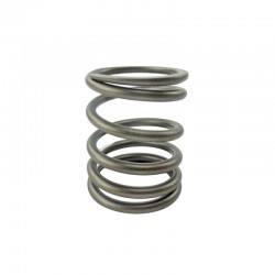 1004C Outer Valve Spring