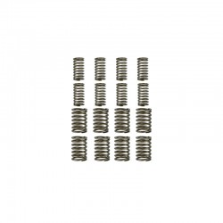 QC480 Valve Spring Set