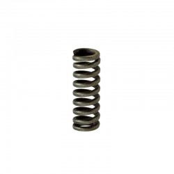 LZ254 Detent Locking Spring