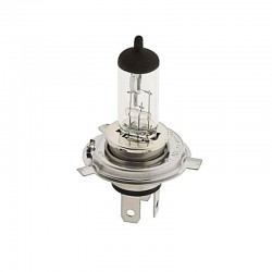 Halogen Headlight Globe