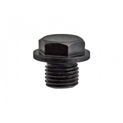 Oil Level Plug M14