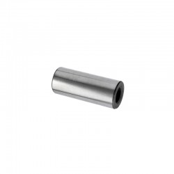 4L22 3T30 Piston Pin