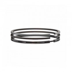 SL100 Piston Rings BT ABT
