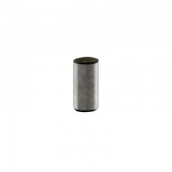 Cylindrical Pin A10x16