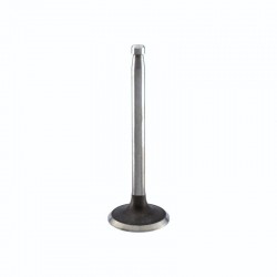 JD90 Intake Valve