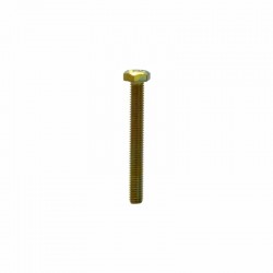 M6x50 Bolt Grade 8.8 Zinc