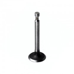 Intake Valve WG90