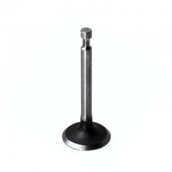 Exhaust Valve WG90