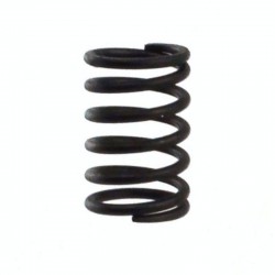 Valve Spring WG90