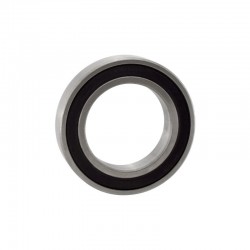 6010-2RS Deep Groove Bearing