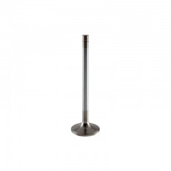 YTO Intake Valve