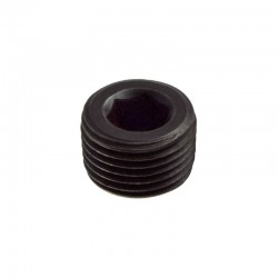 Screw Plug NPT 1/2