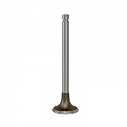 4L22 4L23 Exhaust Valve