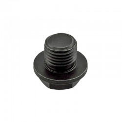 FT254 Oil Level Plug