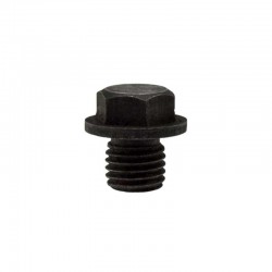 FT254 Drain Plug M12