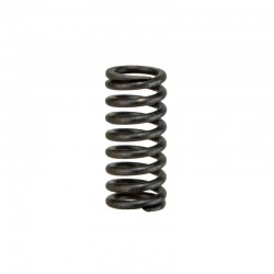 TD Brake Piston Spring