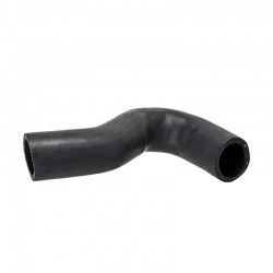 TB Bottom Radiator Hose