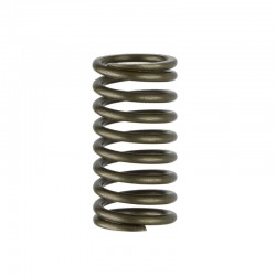 TY290X Inner Valve Spring