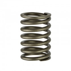 TY290X Outer Valve Spring