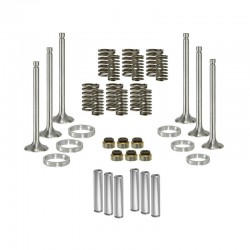 YD 3cyl valve rebuild kit...