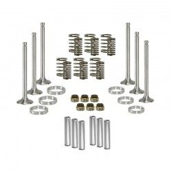 YD 3cyl valve rebuild kit...